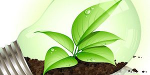 Whitezone dental ecogreen