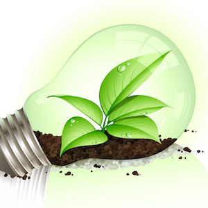 Whitezone dental ecogreen